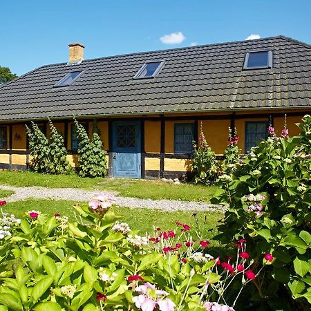 Mollegade 1 Holiday House Nordborg Kommune Exterior foto