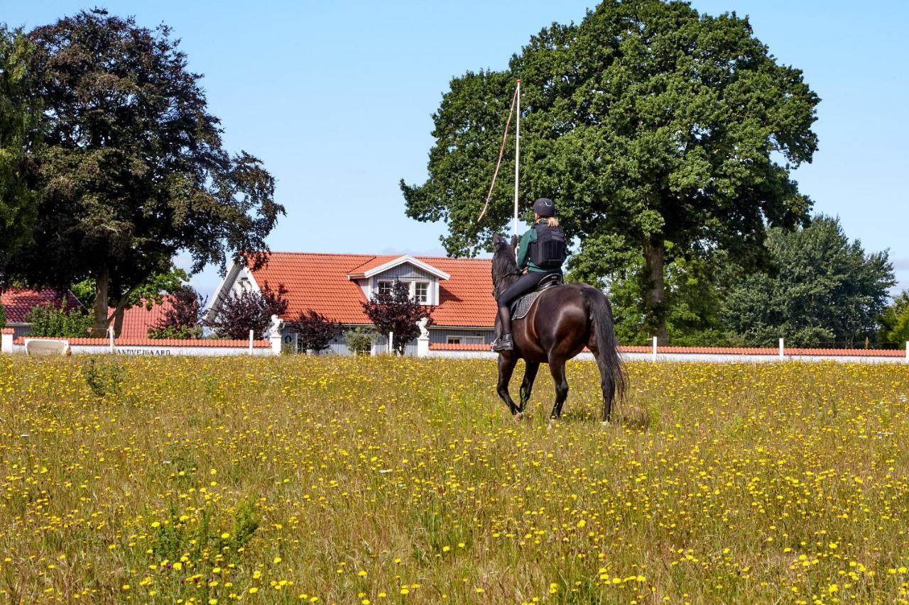 Mollegade 1 Holiday House Nordborg Kommune Exterior foto